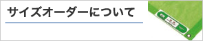 �T�C�Y�I�[�_�[�ɂ���